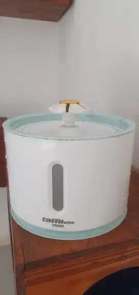 Water dispenser // fountain water