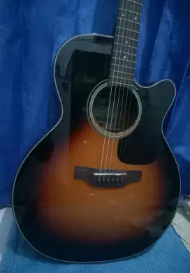 Takamine D series