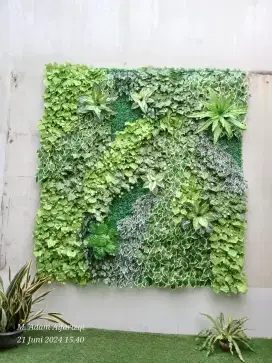 Pemasangan Vertical Garden Di Dinding Yang Kumuh