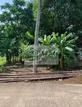 Tanah Pekarangan/Kering Murah Hadap Jalan