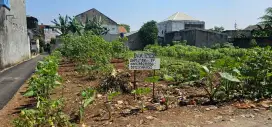 Dijual Tanah, 806m², SHM,TP, Jl Dongkal,RT04/RW03,Tapos,Sukatani,Depok