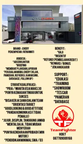 Sales Man / Girl brand Chery