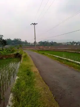 Sawah for villa or kolam ikan Cijambe Subang