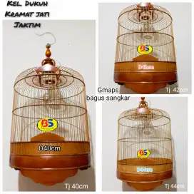 Sangkar lark /mongol