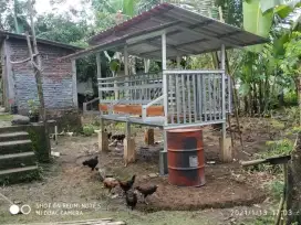 Kandang kambing baja ringan