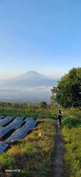 Tanah di candi gedongsongo