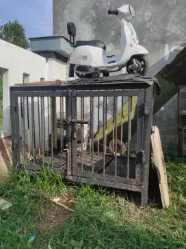 Kandang anjing kucing besi tebal