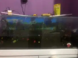 aquarium plus lemari