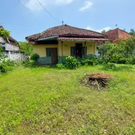 Tanah Potensi utk Perumahan di Kota Probolinggo