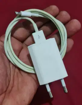 Charger ORI Bekas copotan iphone IBOX 6//7/8/XS/XR 5watt