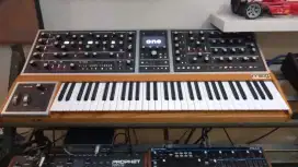 Moog One 16 Voice