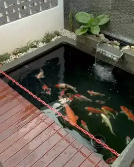 Kolam ikan koi ...