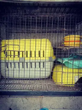 Kandang kucing bekas