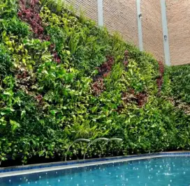 Taman dinding vertikal asli