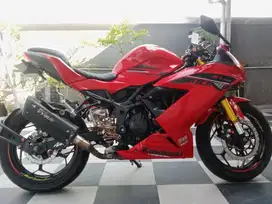 Kawasaki Ninja RR Mono 250