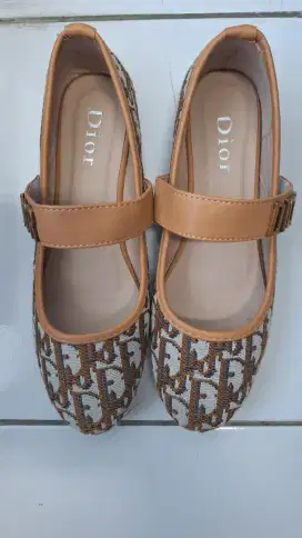 Sepatu dior warna coklat