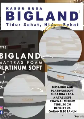 Promo Kasur busa Bigland platinum soft 20 tahun