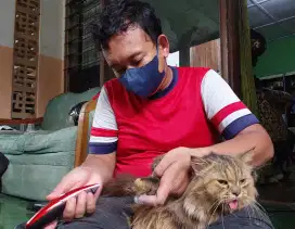 Grooming Tiny pet panggilan kerumah