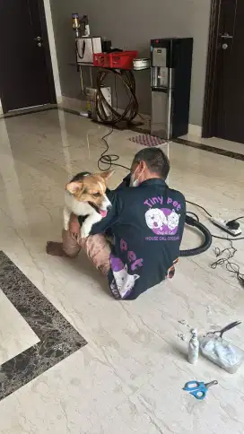 Grooming cat and doggy panggilan