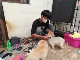 Grooming panggilan se-jabodetabek