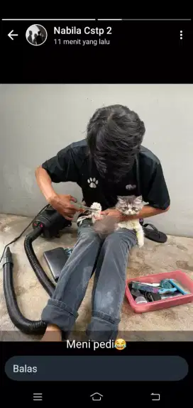Grooming panggilan kerumah