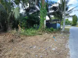 Disewakan tanah lokasi strategis Panam
