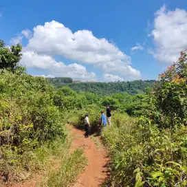 TANAH KEBUN || Ideal untuk kebun atau kandang