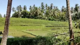 Tanah Pink Zone dekat Pantai Balian Bali
