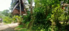 Dijual Tanah Kebun View Sungai Dan Jungle Di Tabanan Bali