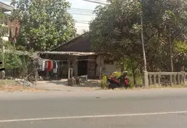 Dijual lahan legundi Wringinanom