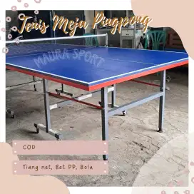 Tenis Meja Pingpong, Bisa dilipat