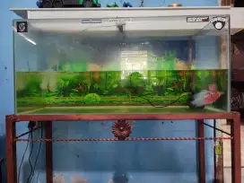 jual cepat. akuarium ukuran 100x45cm. termasuk meja dan ikan louhan