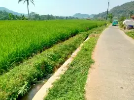 Jual sawah produktif pinggir jalan dekat akses tol