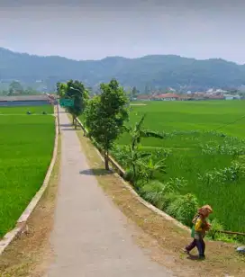 Sawah pinggir jalan dijual di Soreang