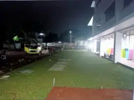 Jual rumput gajah mini