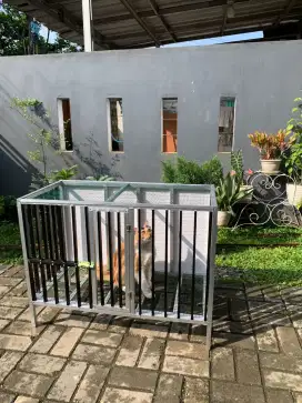 NEGO Kandang kucing baru dan bersih, ukuran besar keren