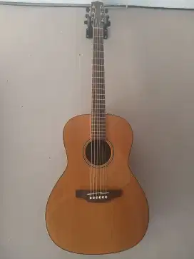 Takamine GY93E - Nat