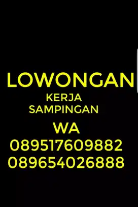 DICARI BAMBU TANDUK LOWONGAN SEHAT KERJA/TOKEK45CM NORMAL TDK CACAT