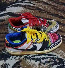 Nike sb pro model