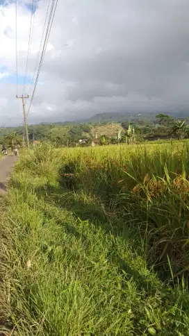 Tanah sawah sangat strategis view lepas ke gunung air bagus