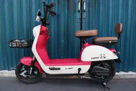 SEPEDA LISTRIK EXOTIC EV925 BY PACIFIC BIKE