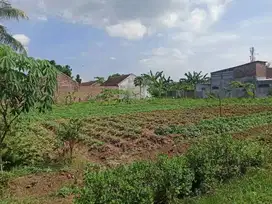 Tanah kampus murah cocok untuk kost