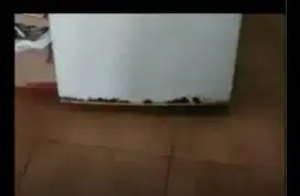 kulkas samsung 1 pintu
