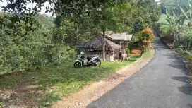 Dijual Kebun Duren produktif Parakan Salak