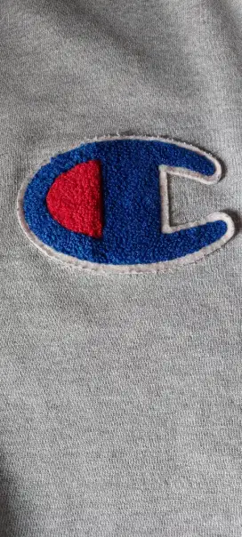 Crewneck brand  CHAMPION guys!