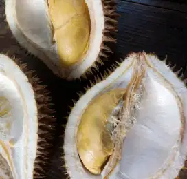 Duren mentega utuh matang pohon