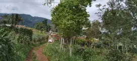 Tanah rata murah view lepas ke gunung untuk villa+glamping+rumah
