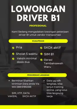 Dicari driver B1 profesional