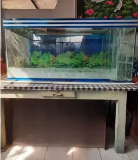 Jual Aquarium Besar
