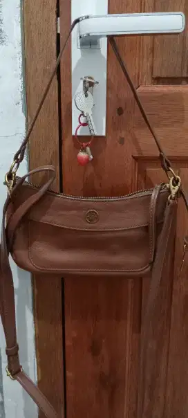 Tas Fossil Orii